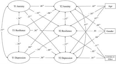 Resilience and mental health: A longitudinal cohort study of Chinese adolescents before and during COVID-19